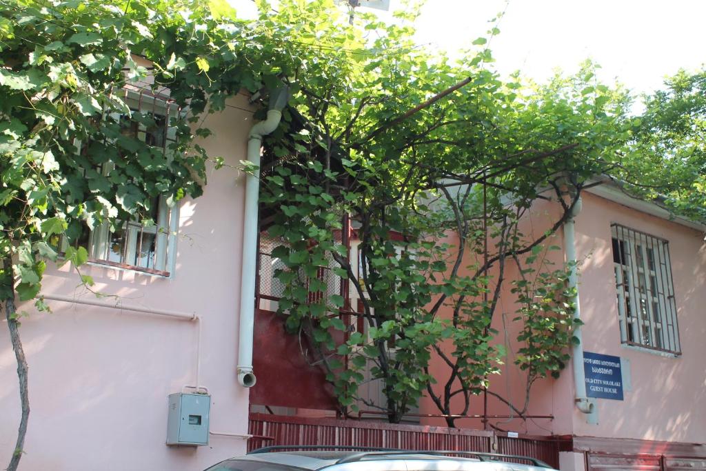 Hostel Old City Sololaki room 3